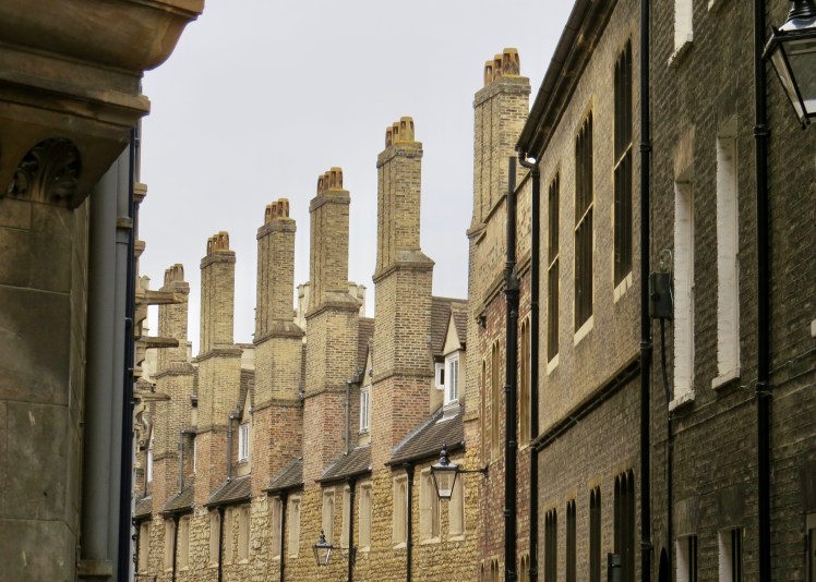 fullsizeoutput_59536