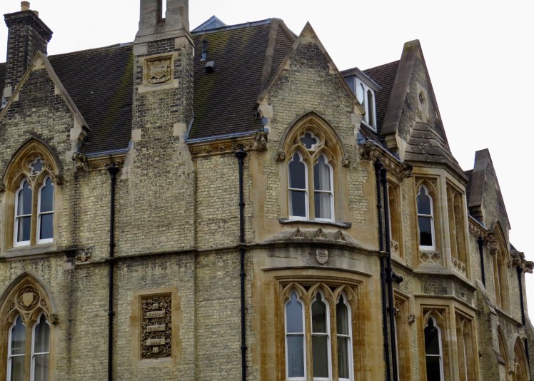 fullsizeoutput_59545