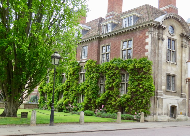 fullsizeoutput_59548