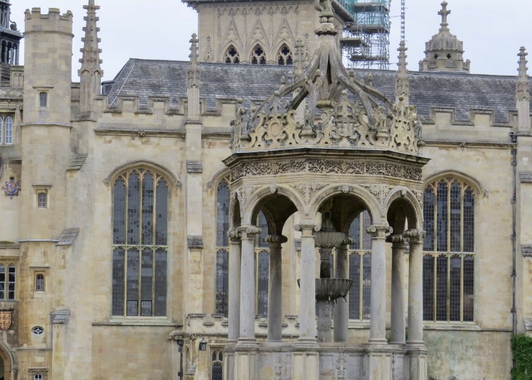 fullsizeoutput_5954c