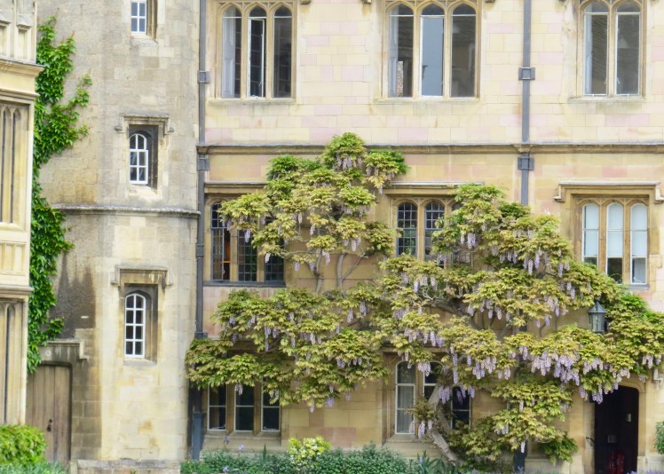 fullsizeoutput_5954e