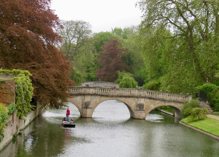 fullsizeoutput_59555