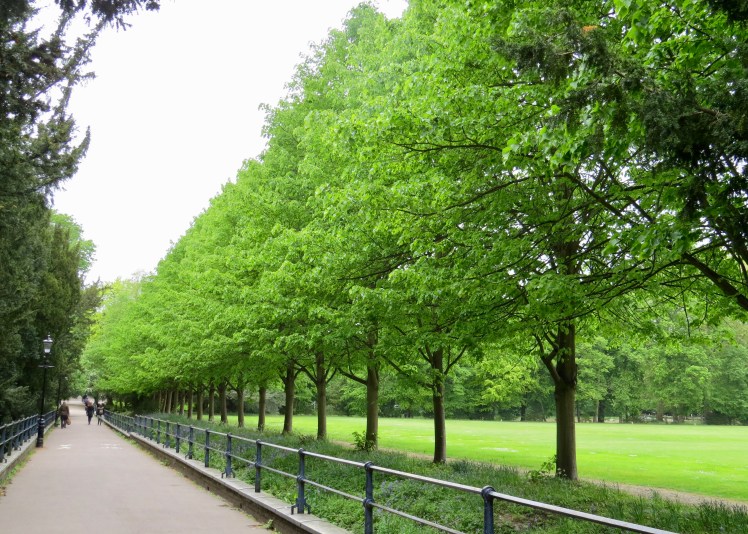 fullsizeoutput_59558