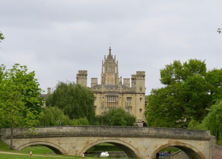 fullsizeoutput_5955a