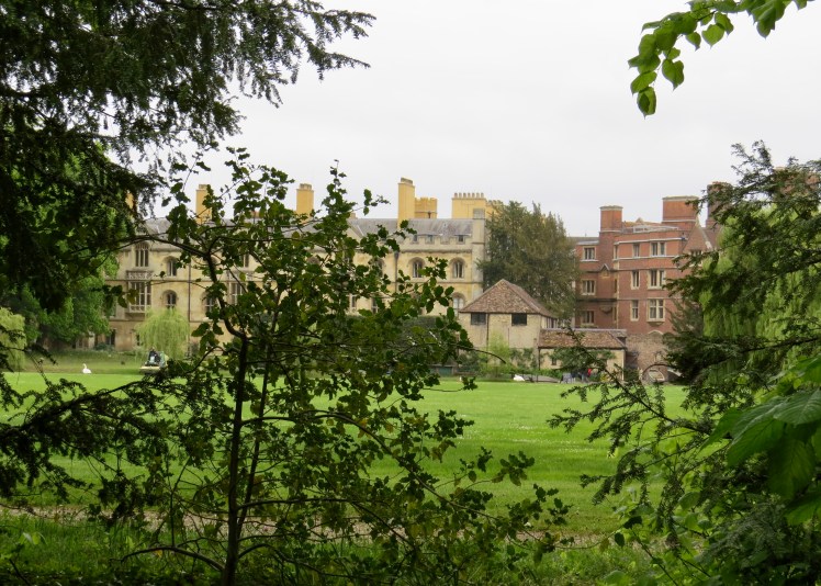 fullsizeoutput_5955c