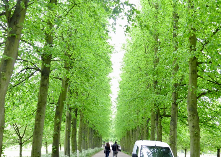 fullsizeoutput_5955f