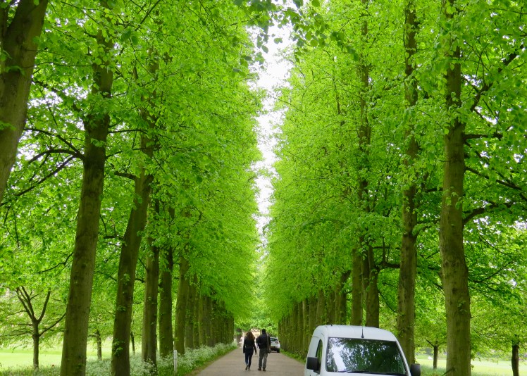 fullsizeoutput_59560