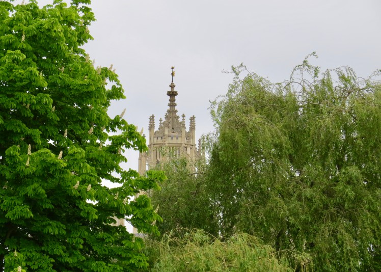 fullsizeoutput_59562