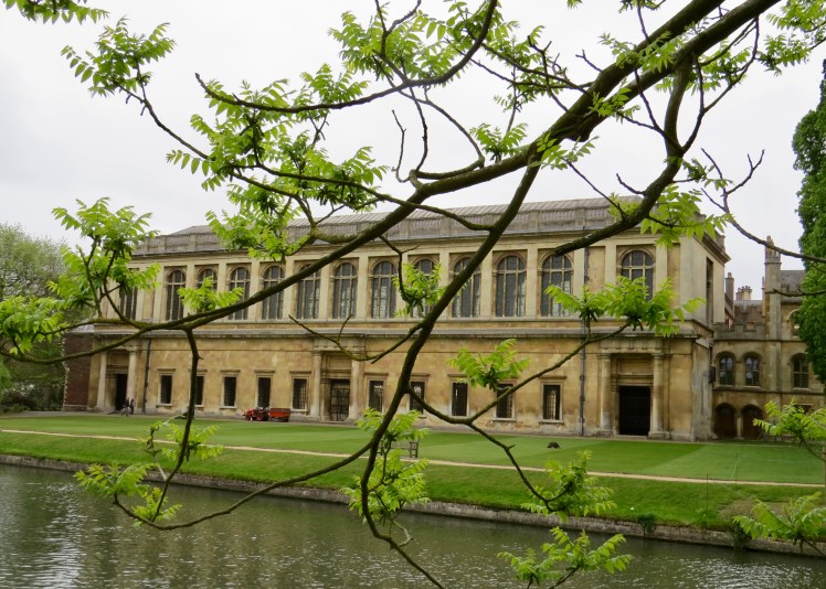 fullsizeoutput_59564