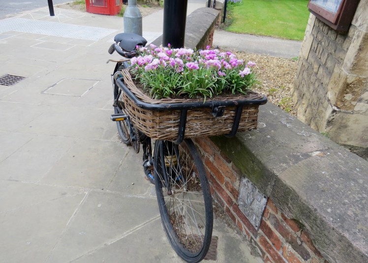 fullsizeoutput_595b1