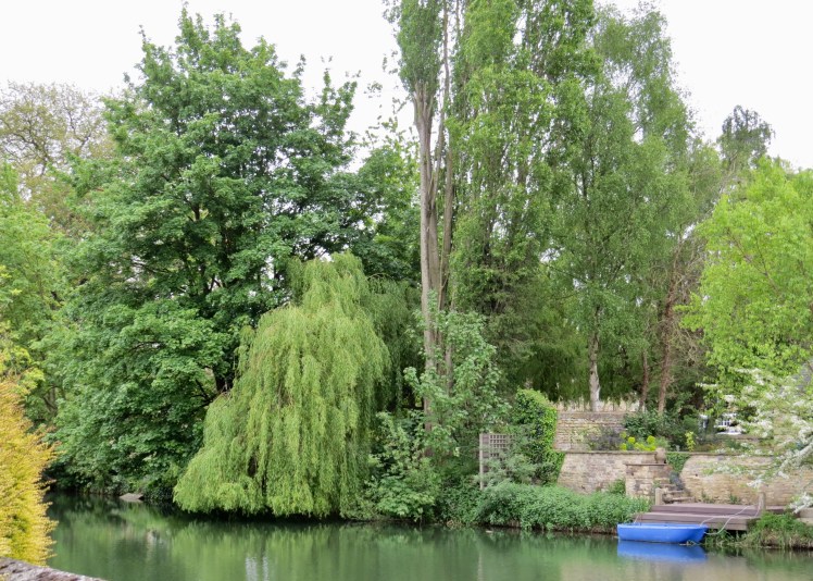 fullsizeoutput_595b9