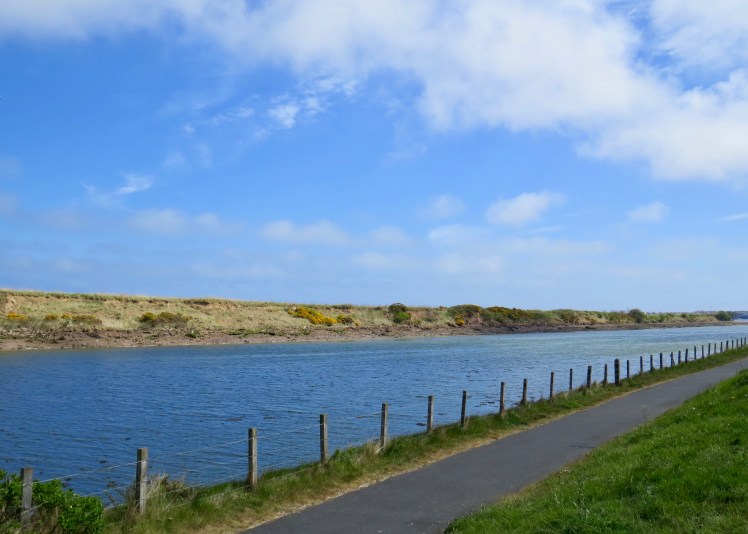 fullsizeoutput_5960f