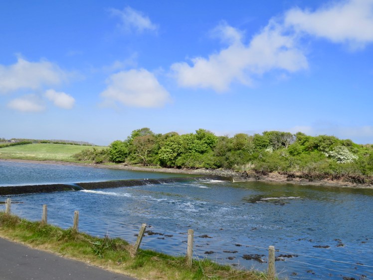 fullsizeoutput_59610