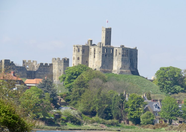 fullsizeoutput_59611