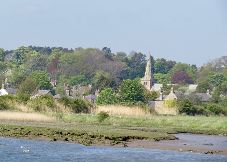 fullsizeoutput_59612