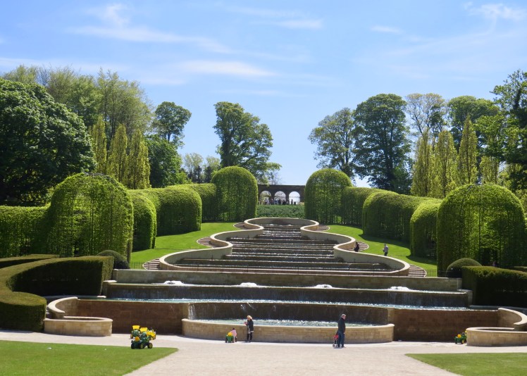 fullsizeoutput_59613