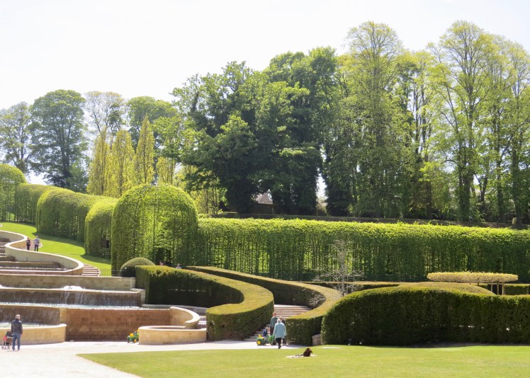 fullsizeoutput_59615