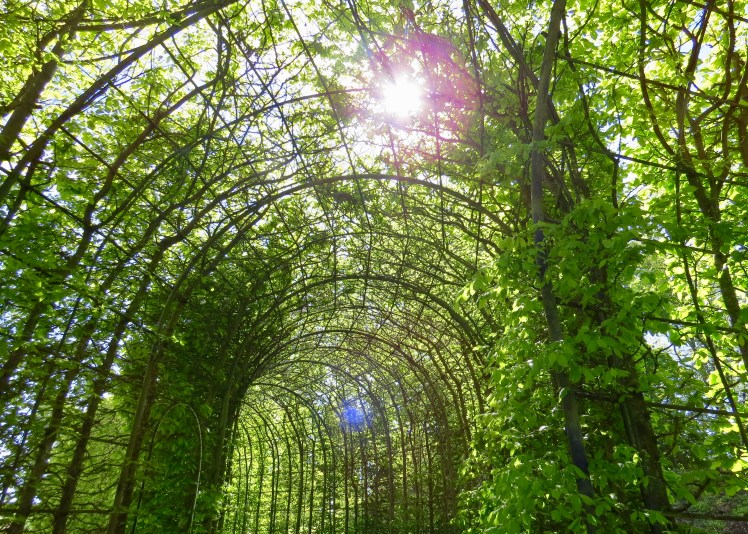 fullsizeoutput_59618