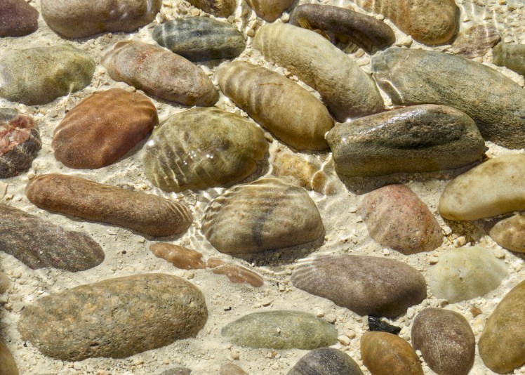 fullsizeoutput_59621