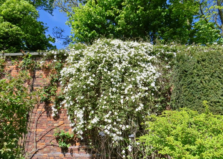 fullsizeoutput_59627