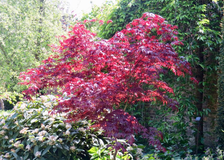 fullsizeoutput_59629