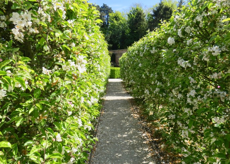 fullsizeoutput_5962d