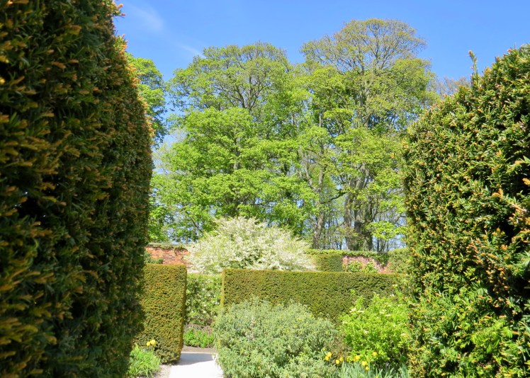 fullsizeoutput_5962e