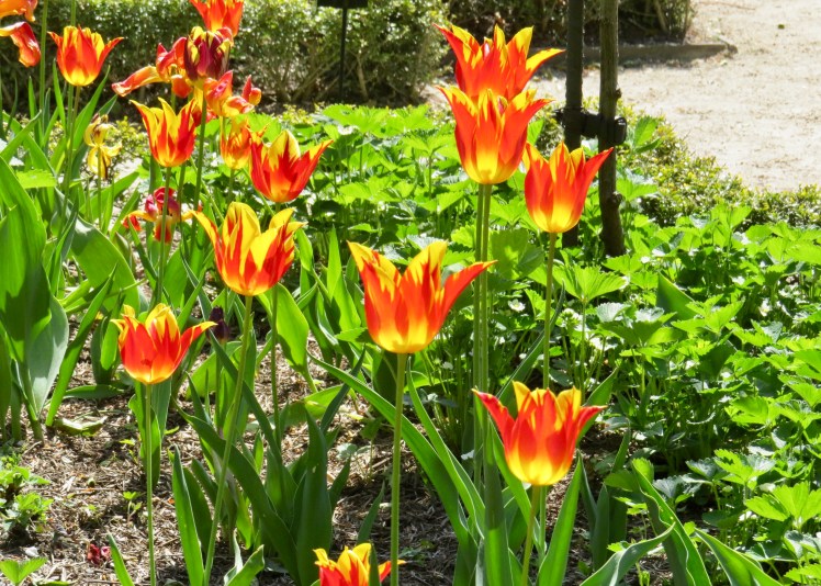 fullsizeoutput_59631