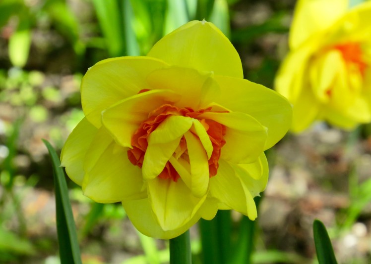 fullsizeoutput_59632