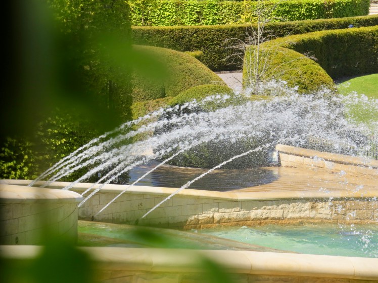 fullsizeoutput_59633