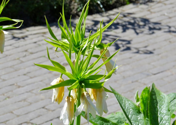 fullsizeoutput_59638