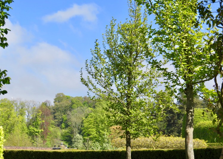 fullsizeoutput_5963e