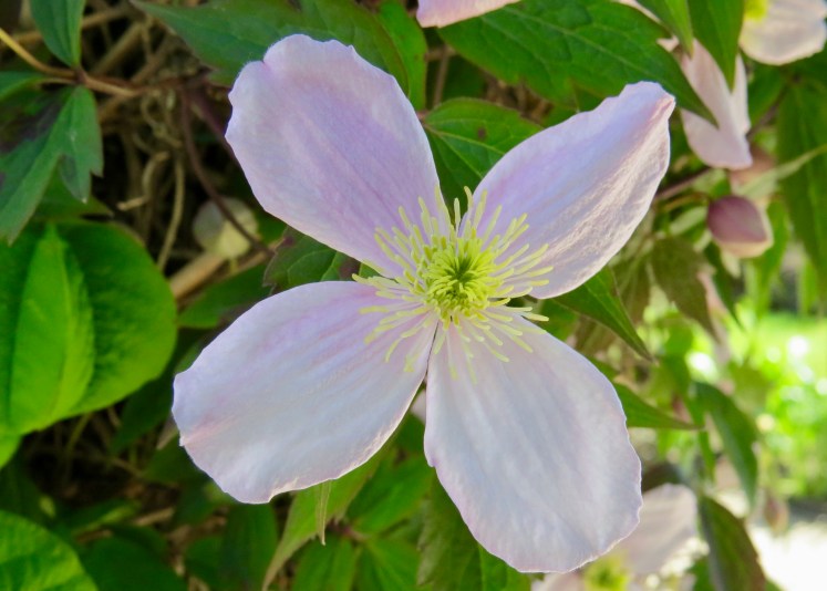 fullsizeoutput_59641