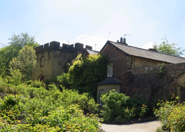 fullsizeoutput_59642