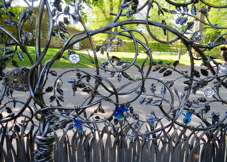 fullsizeoutput_59645