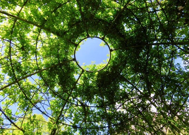 fullsizeoutput_59648