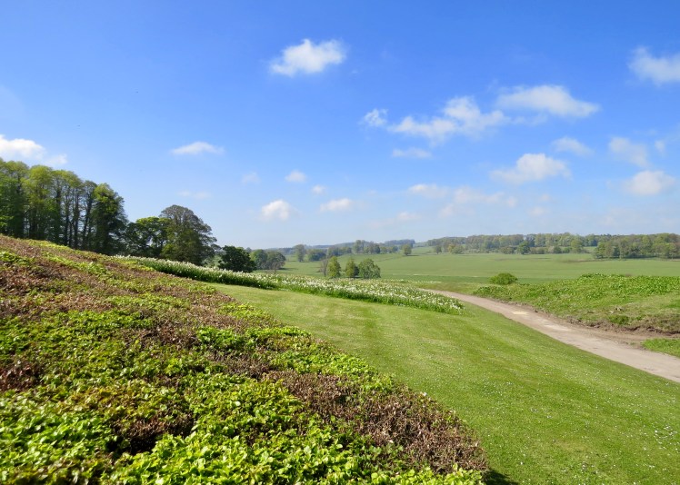 fullsizeoutput_5964b