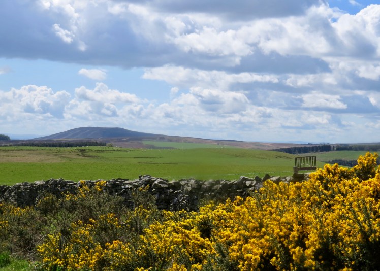 fullsizeoutput_59701