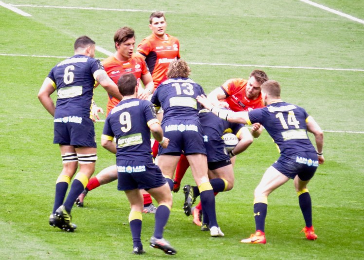 fullsizeoutput_5975c