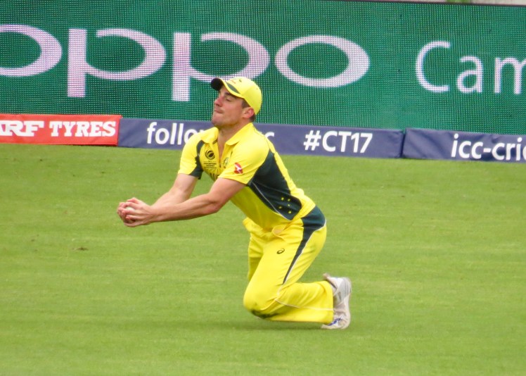 fullsizeoutput_59e03