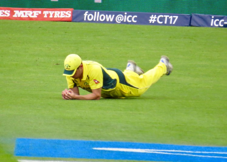 fullsizeoutput_59e05