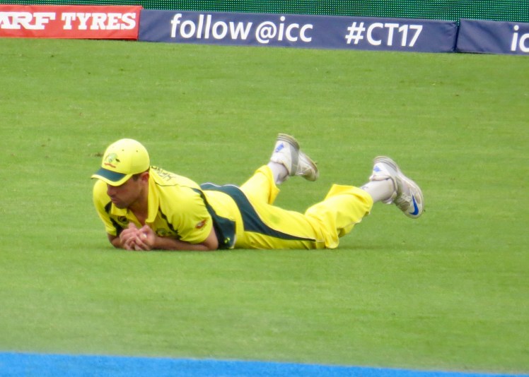 fullsizeoutput_59e50