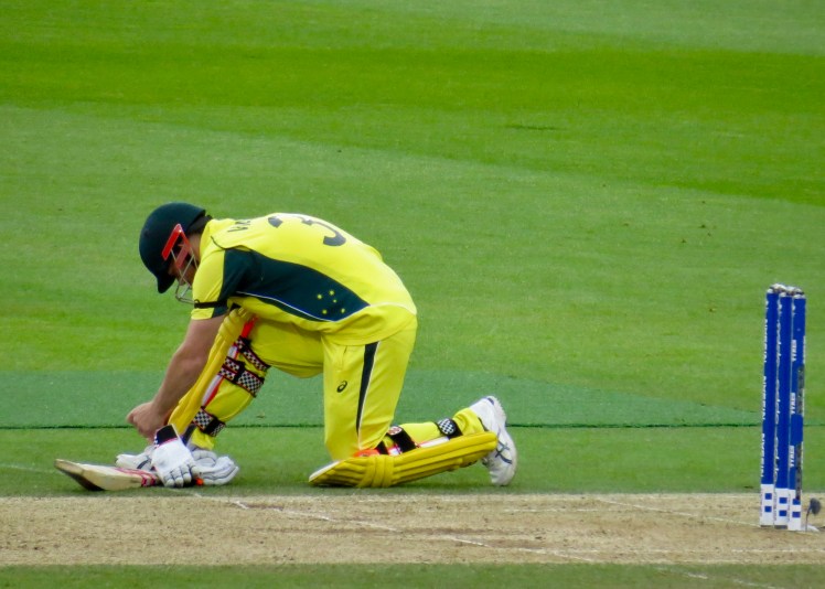 fullsizeoutput_59ec8