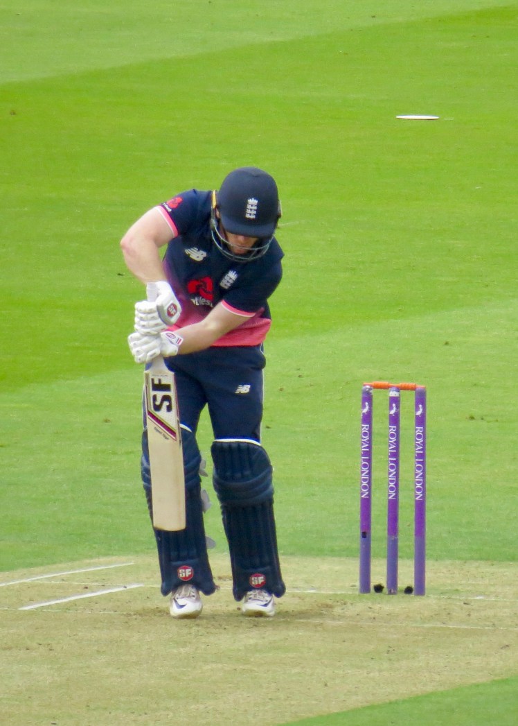 fullsizeoutput_5a576