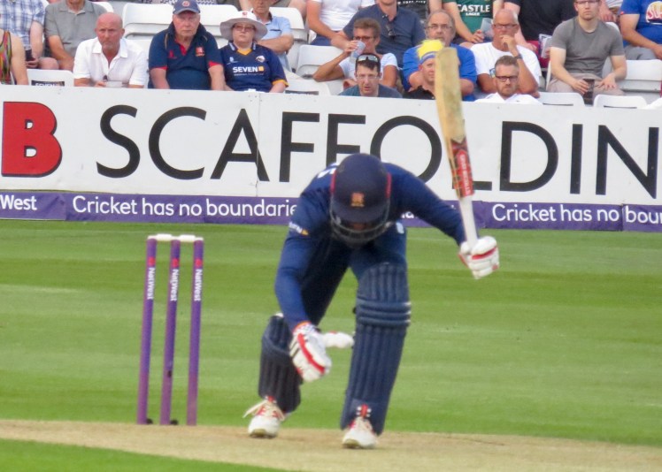 fullsizeoutput_5b2a9