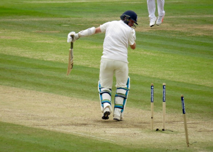 fullsizeoutput_5b33a