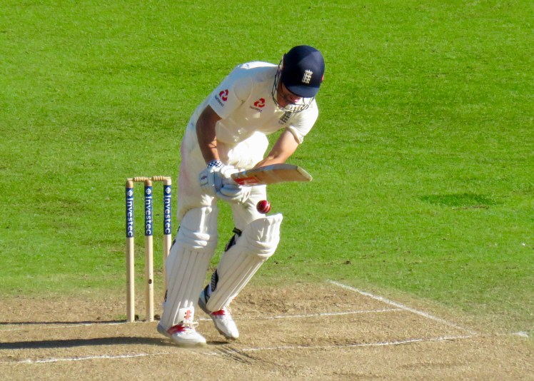 fullsizeoutput_5b444