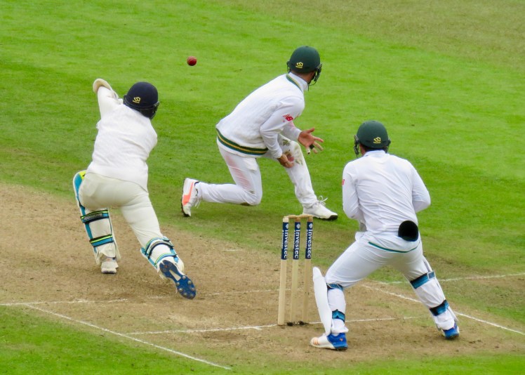 fullsizeoutput_5b5a5