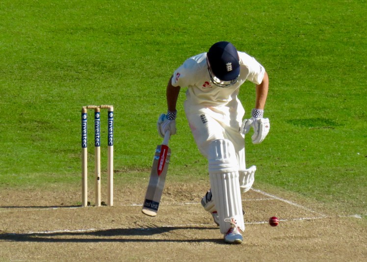 fullsizeoutput_5b826