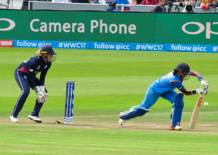 fullsizeoutput_5c495